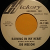 45-Rainning-In-My-Heart.jpg