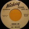45-shook-up-2.jpg